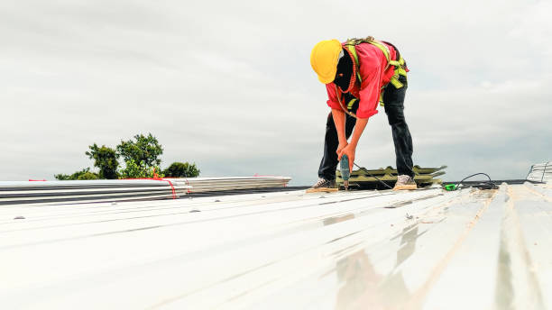Professional Roofing in Hays, MT